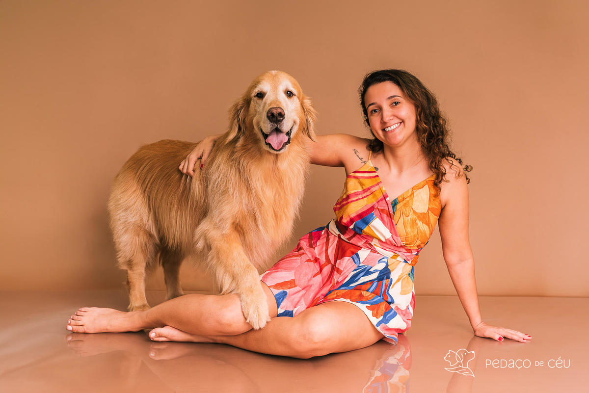 Ensaio Golden Retriever Rio de Janeiro 