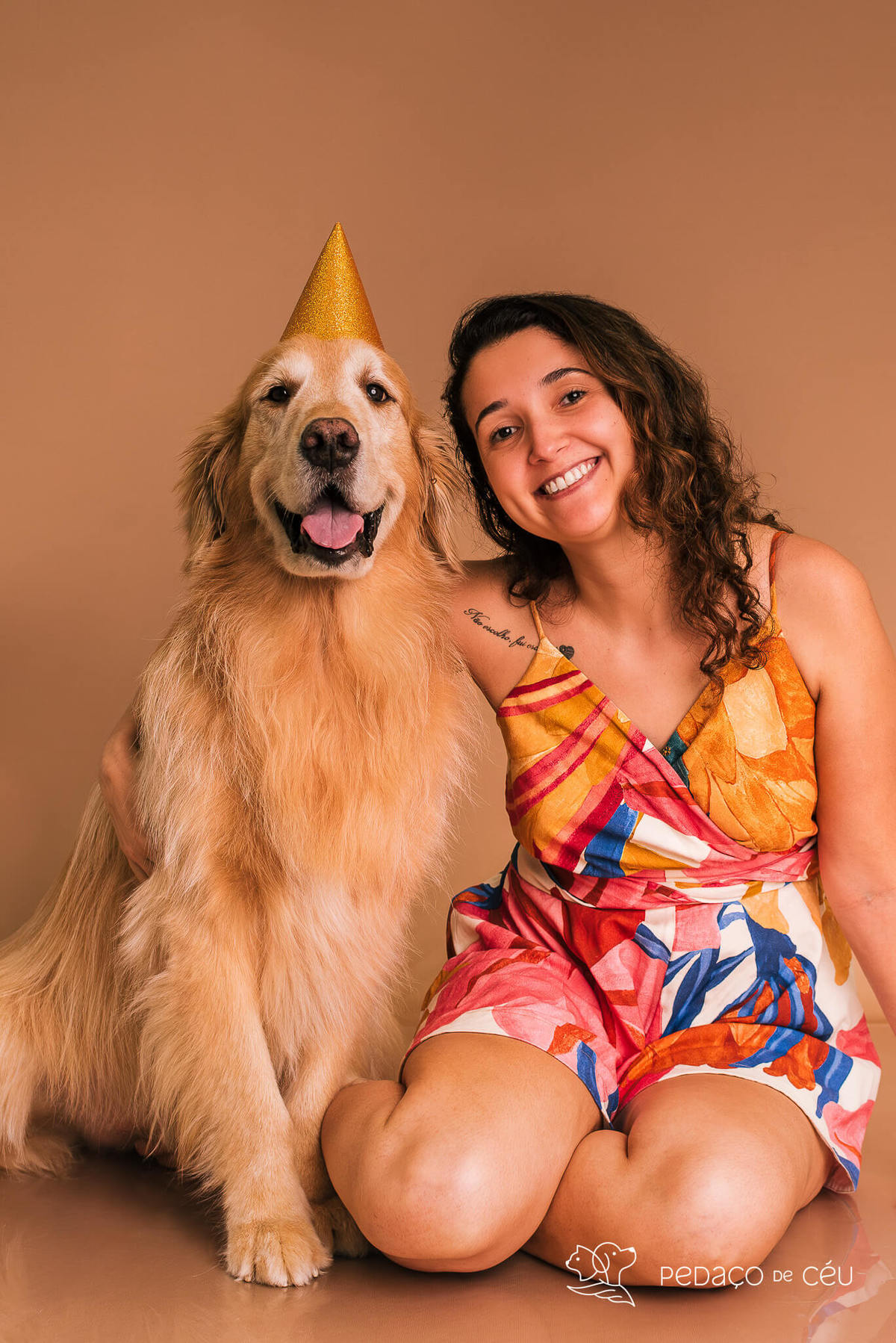 Ensaio Golden Retriever Rio de Janeiro 