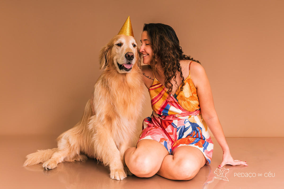 Ensaio Golden Retriever Rio de Janeiro 