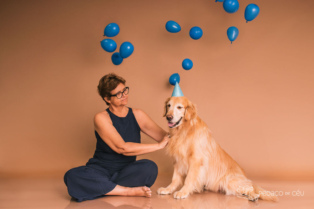 Ensaio Golden Retriever Rio de Janeiro 