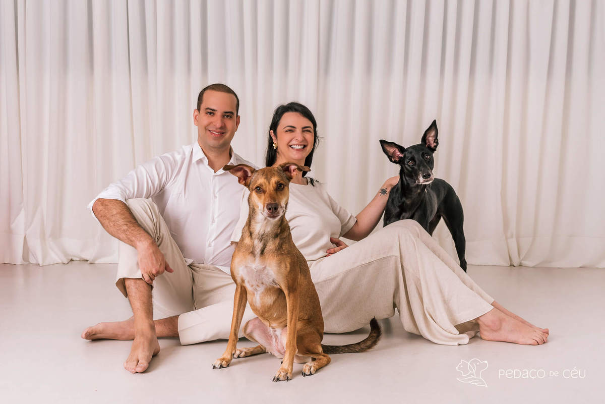 Ensaio pet Rio de Janeiro