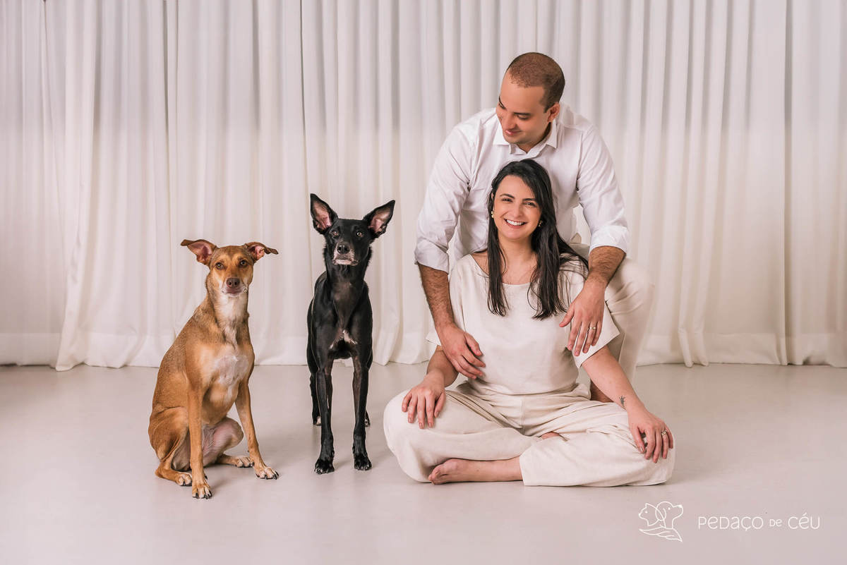 Ensaio pet Rio de Janeiro