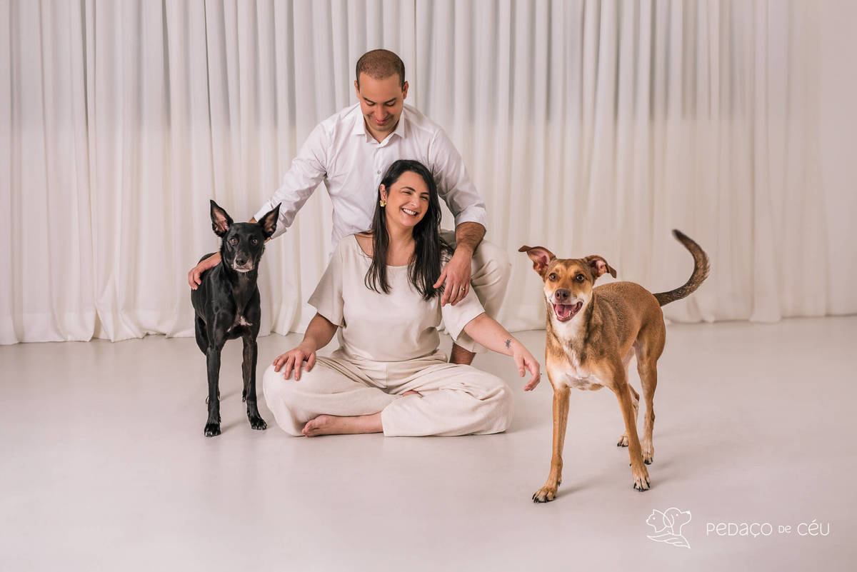 Ensaio pet Rio de Janeiro