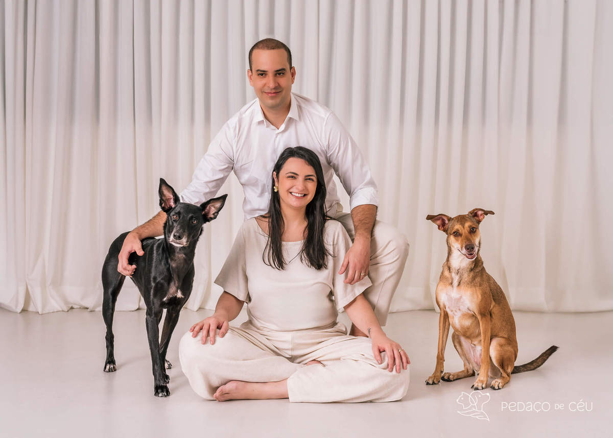 Ensaio pet Rio de Janeiro