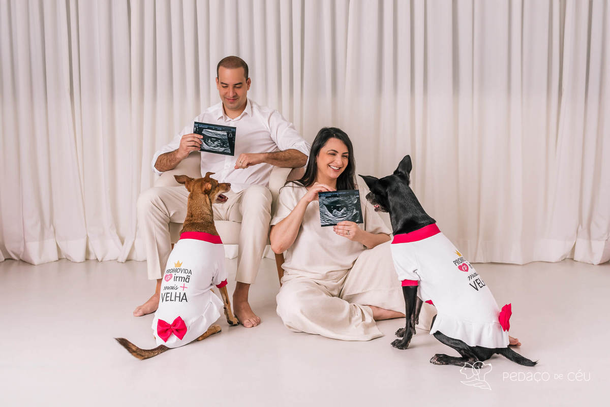 Ensaio pet Rio de Janeiro