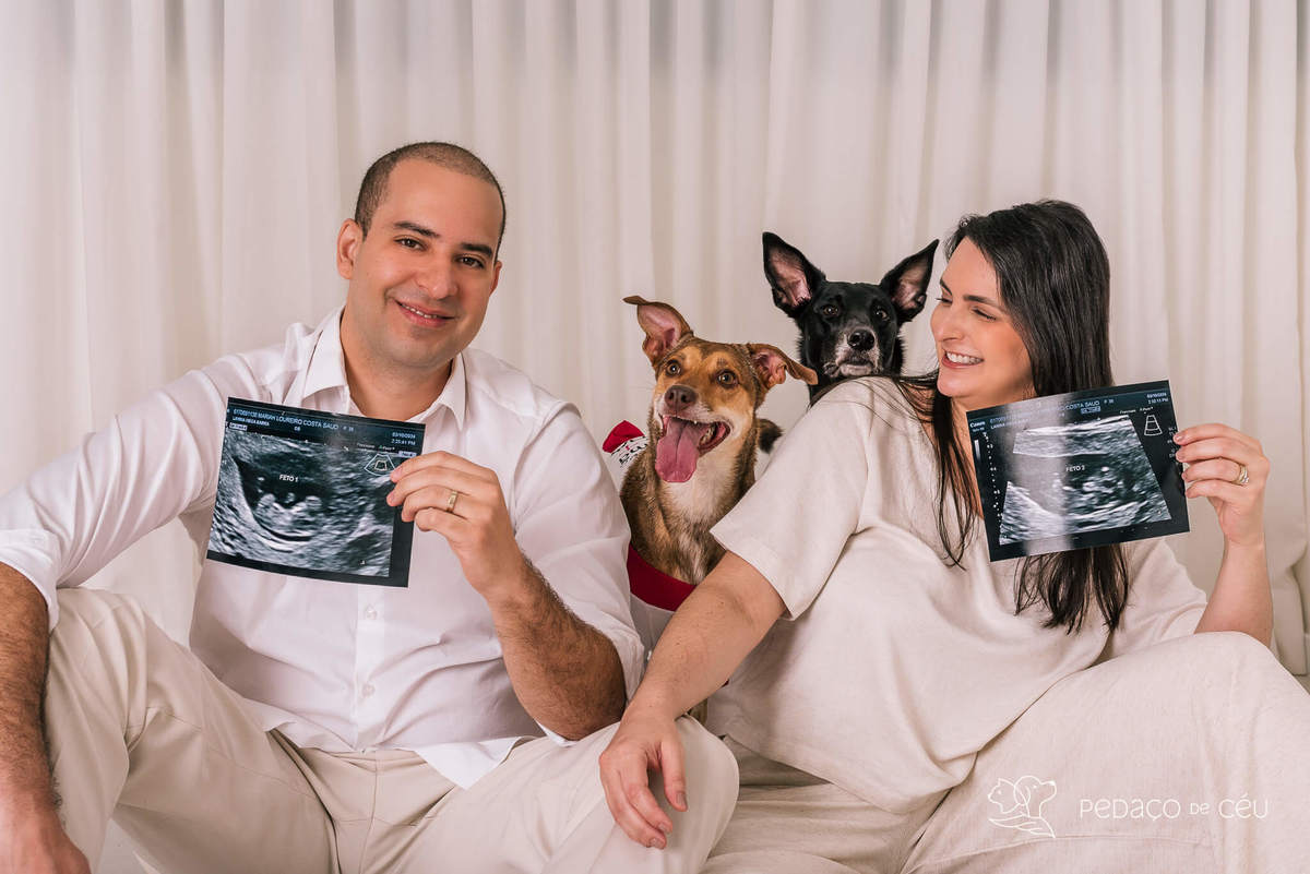 Ensaio pet Rio de Janeiro