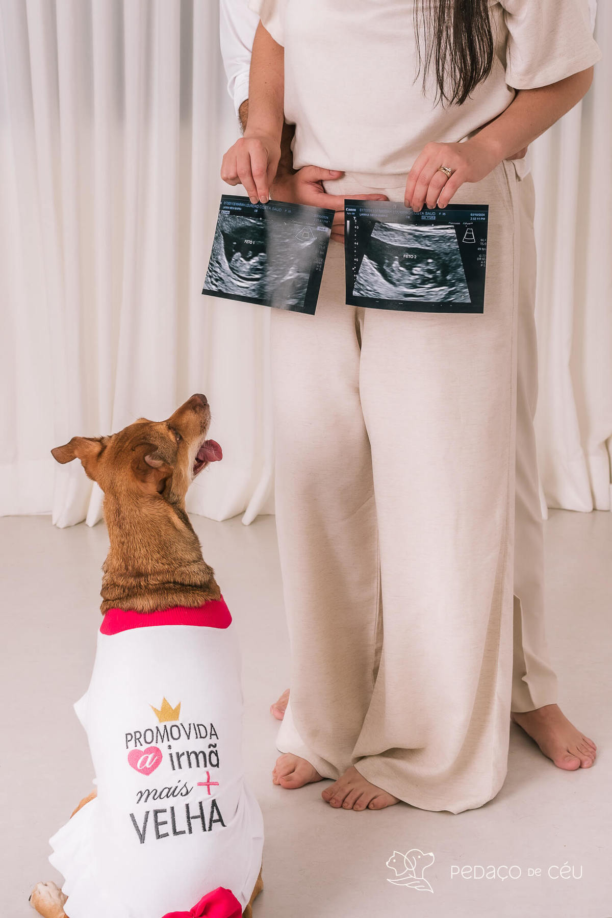 Ensaio pet Rio de Janeiro