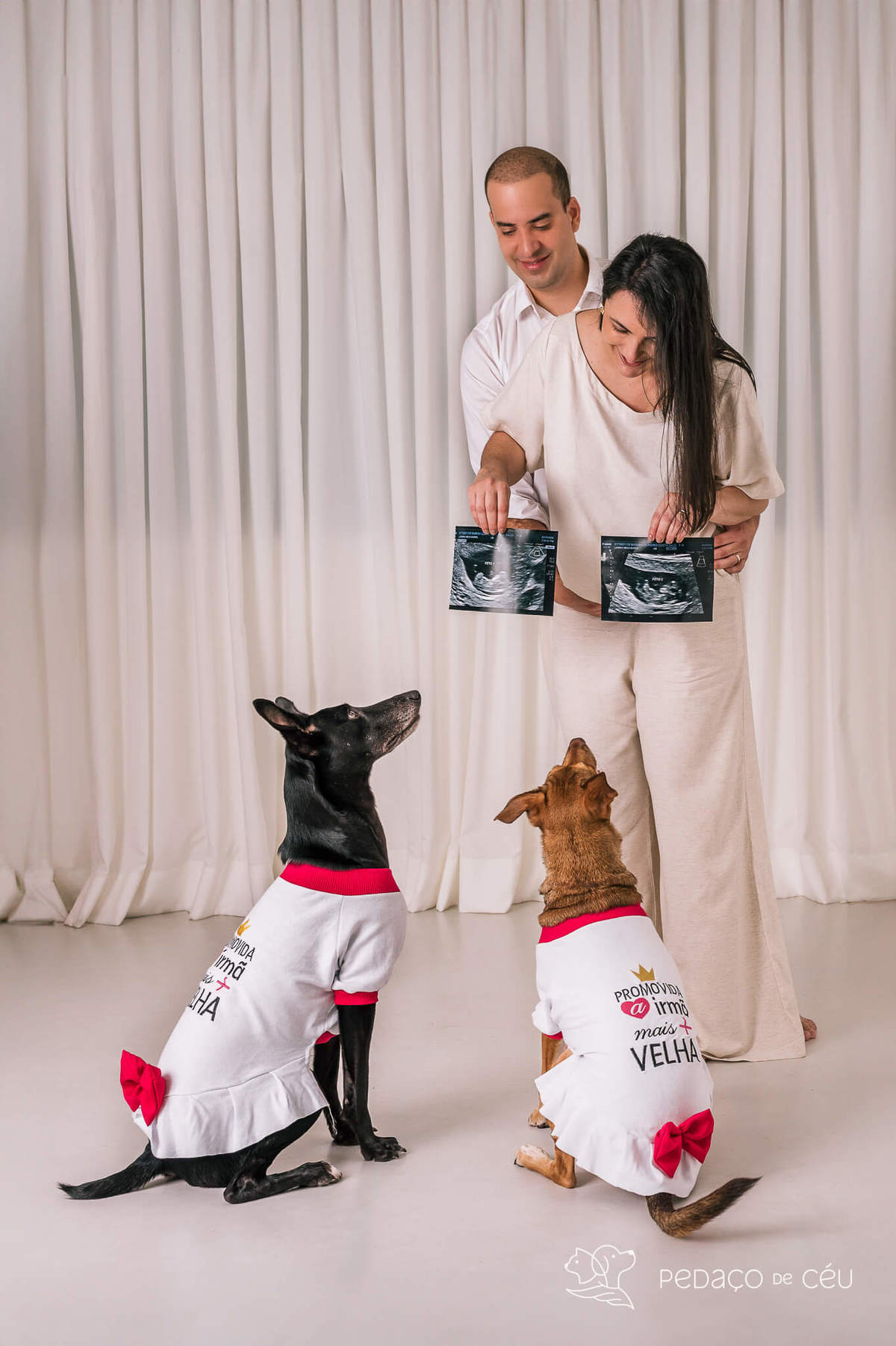 Ensaio pet Rio de Janeiro