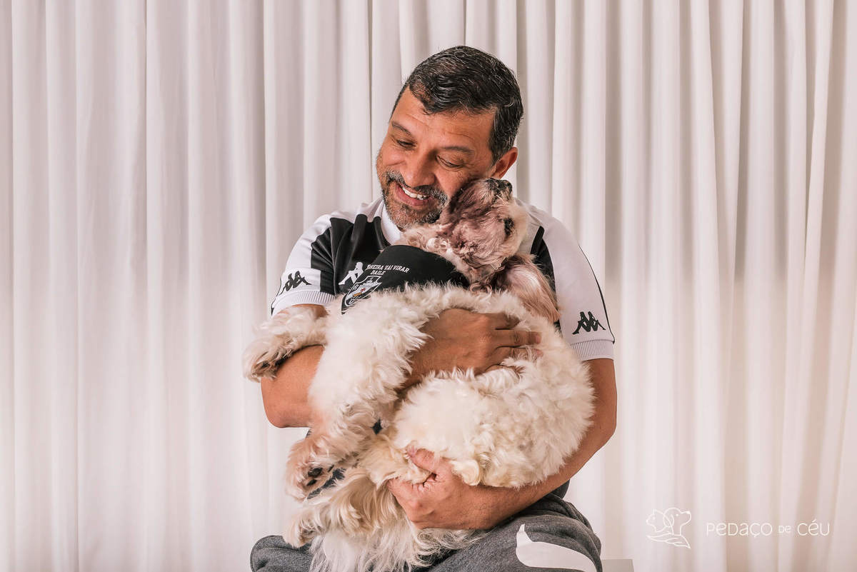 Ensaio shih tzu Rio de Janeiro