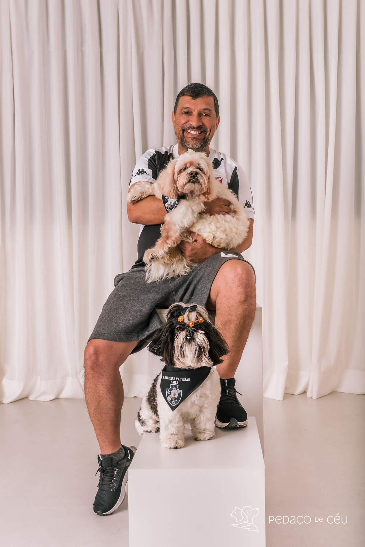 Ensaio shih tzu Rio de Janeiro