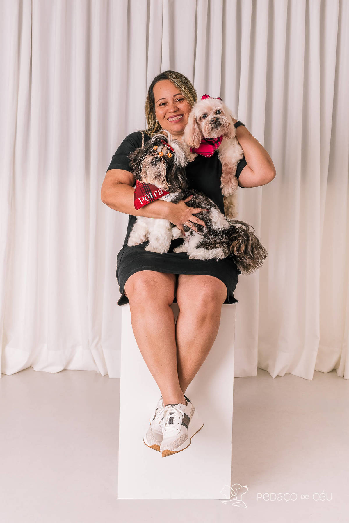 Ensaio shih tzu Rio de Janeiro