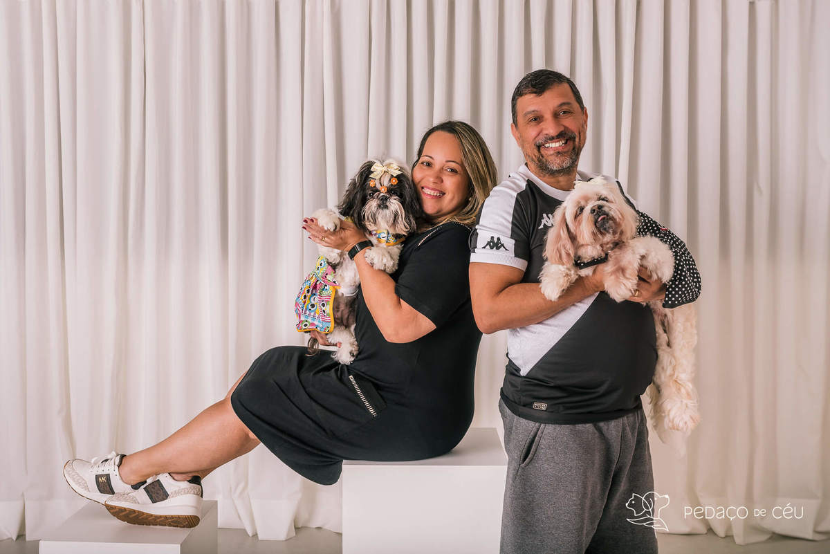 Ensaio shih tzu Rio de Janeiro