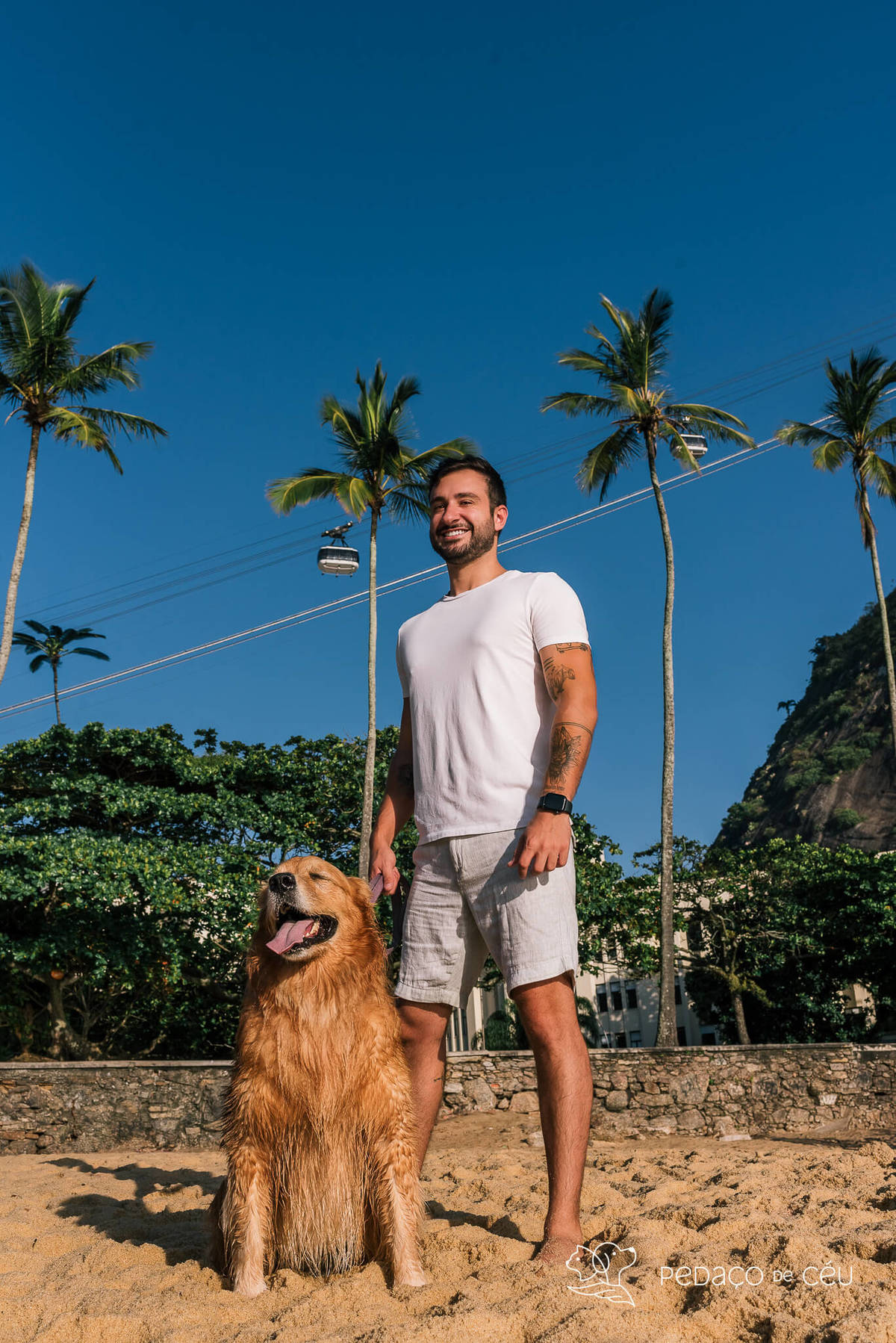 Ensaio pet Golden externo Rio de Janeiro 