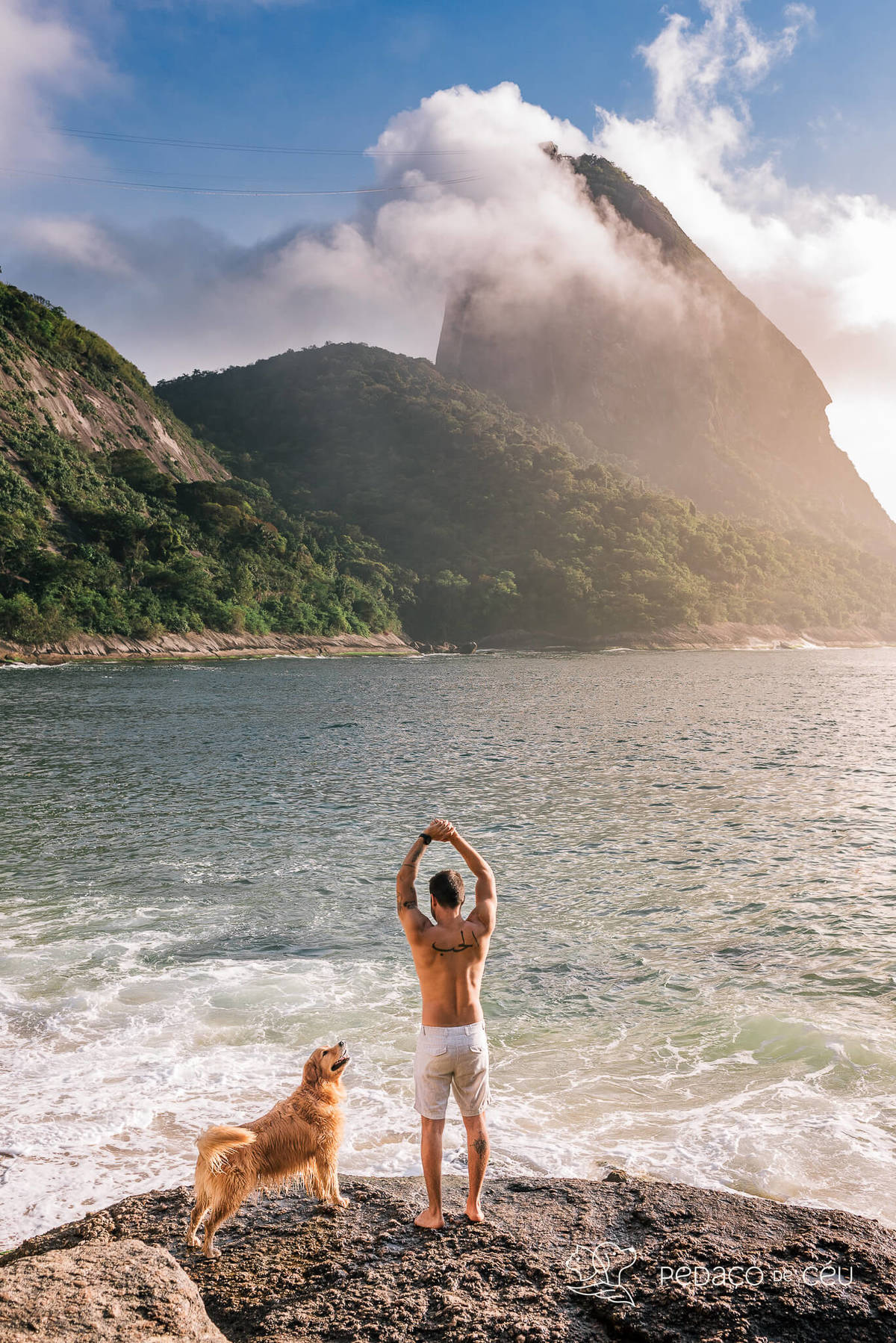 Ensaio pet Golden externo Rio de Janeiro 