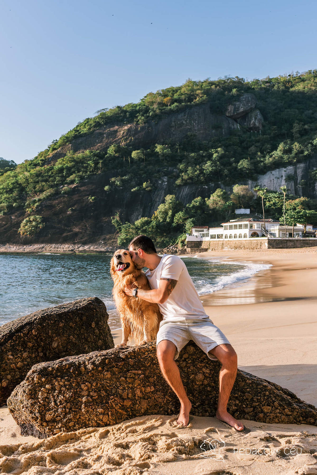 Ensaio pet Golden externo Rio de Janeiro 