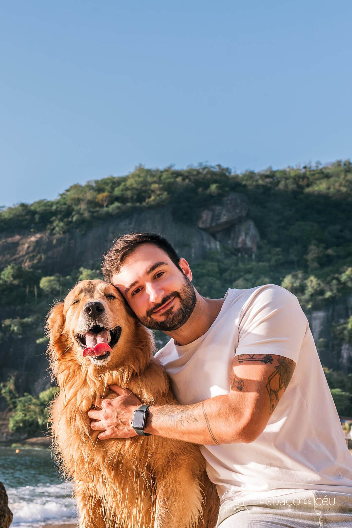 Ensaio pet Golden externo Rio de Janeiro 