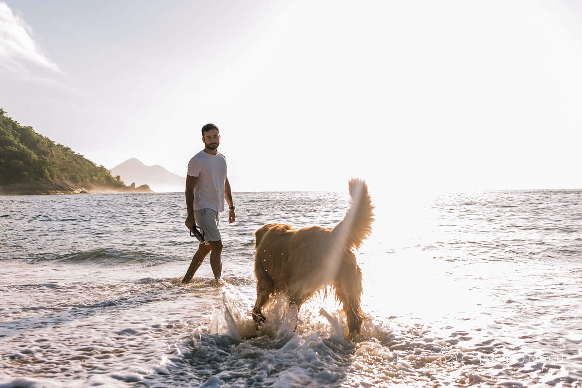 Ensaio pet Golden externo Rio de Janeiro 