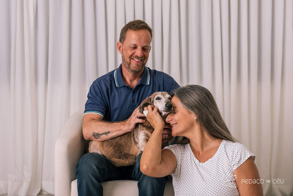 Ensaio Dachshund Rio de Janeiro 