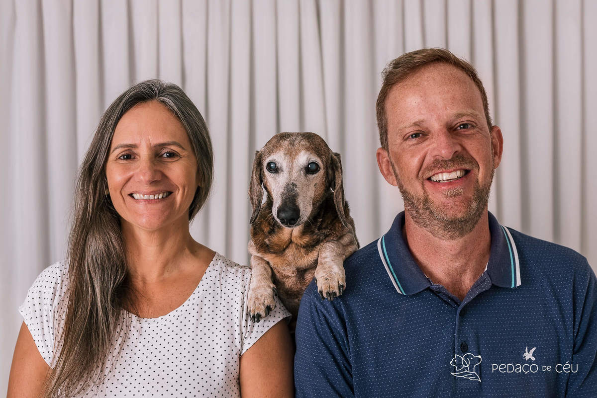 Ensaio Dachshund Rio de Janeiro 