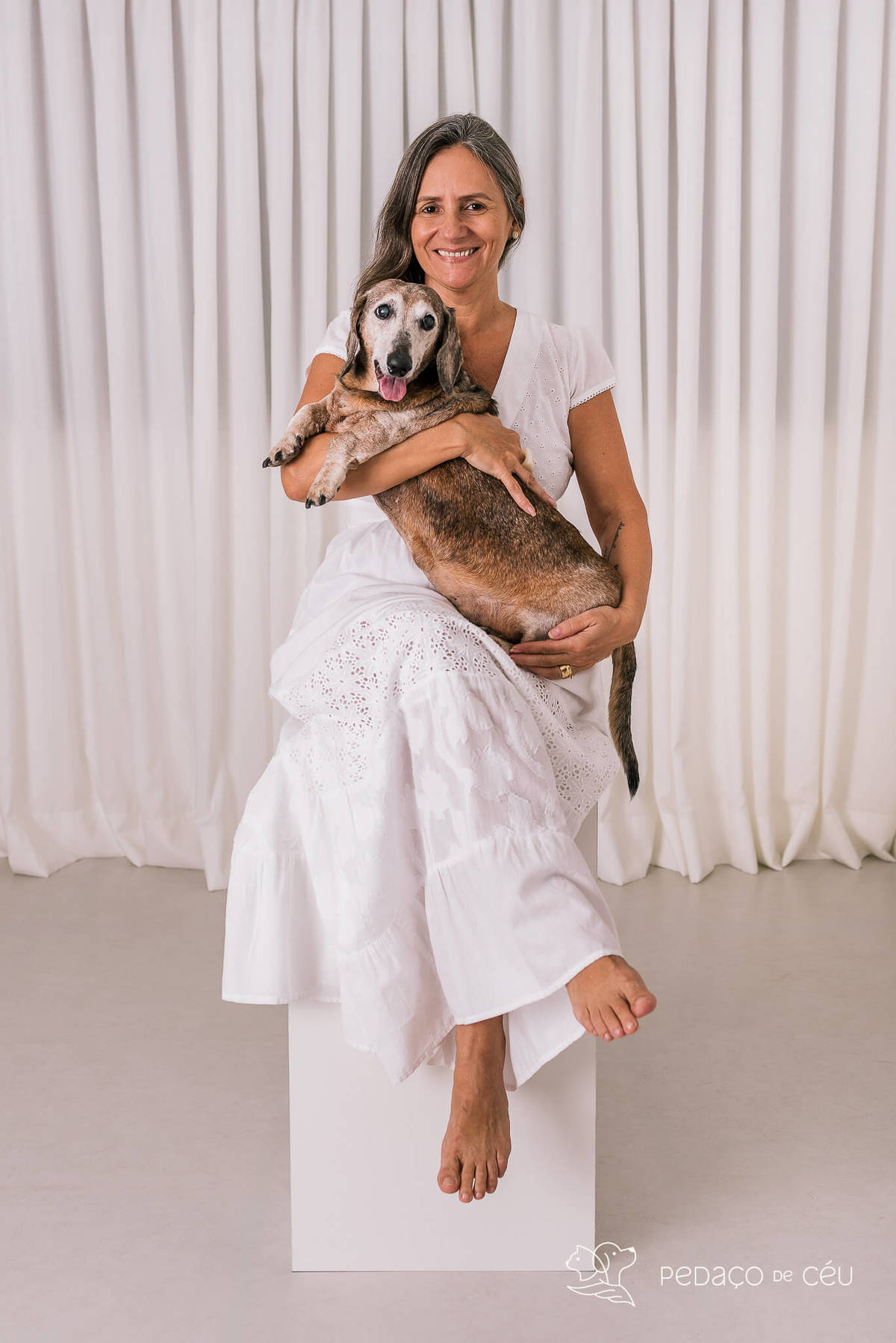 Ensaio Dachshund Rio de Janeiro 