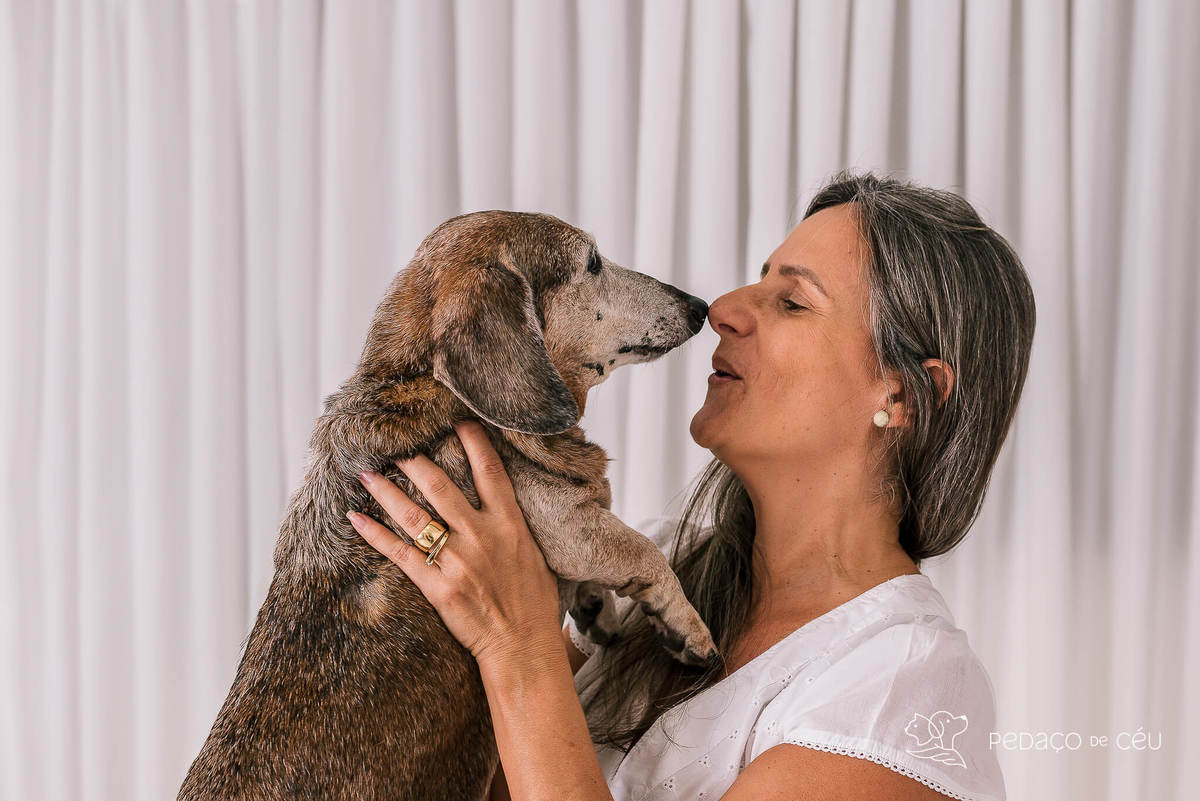 Ensaio Dachshund Rio de Janeiro 