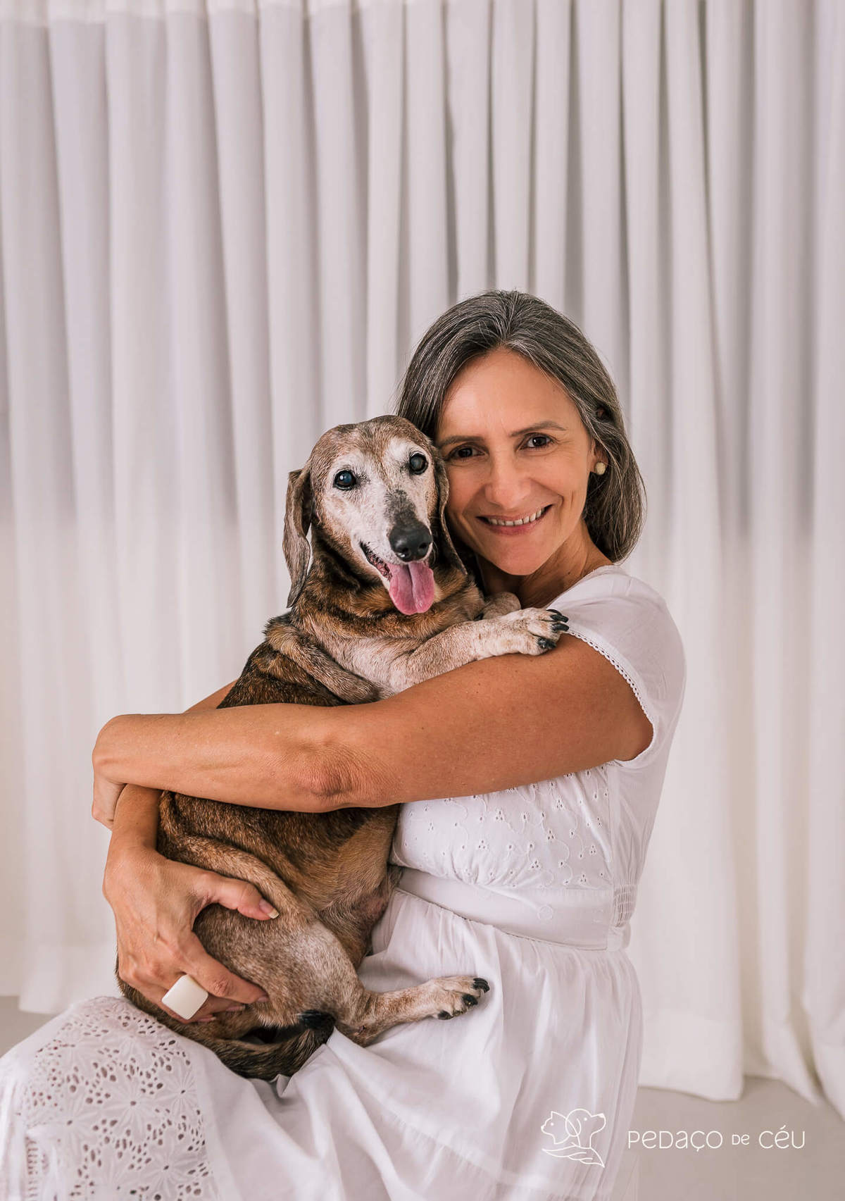 Ensaio Dachshund Rio de Janeiro 