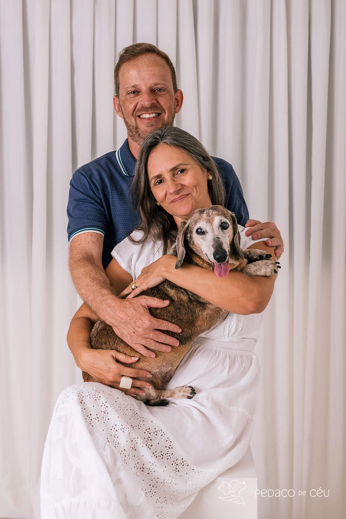 Ensaio Dachshund Rio de Janeiro 