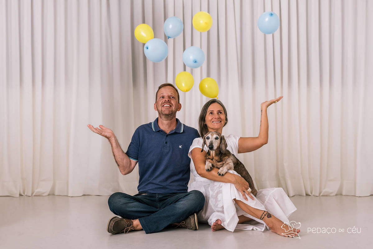 Ensaio Dachshund Rio de Janeiro 