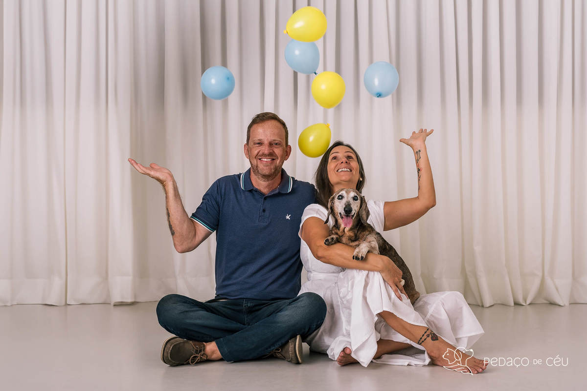 Ensaio Dachshund Rio de Janeiro 