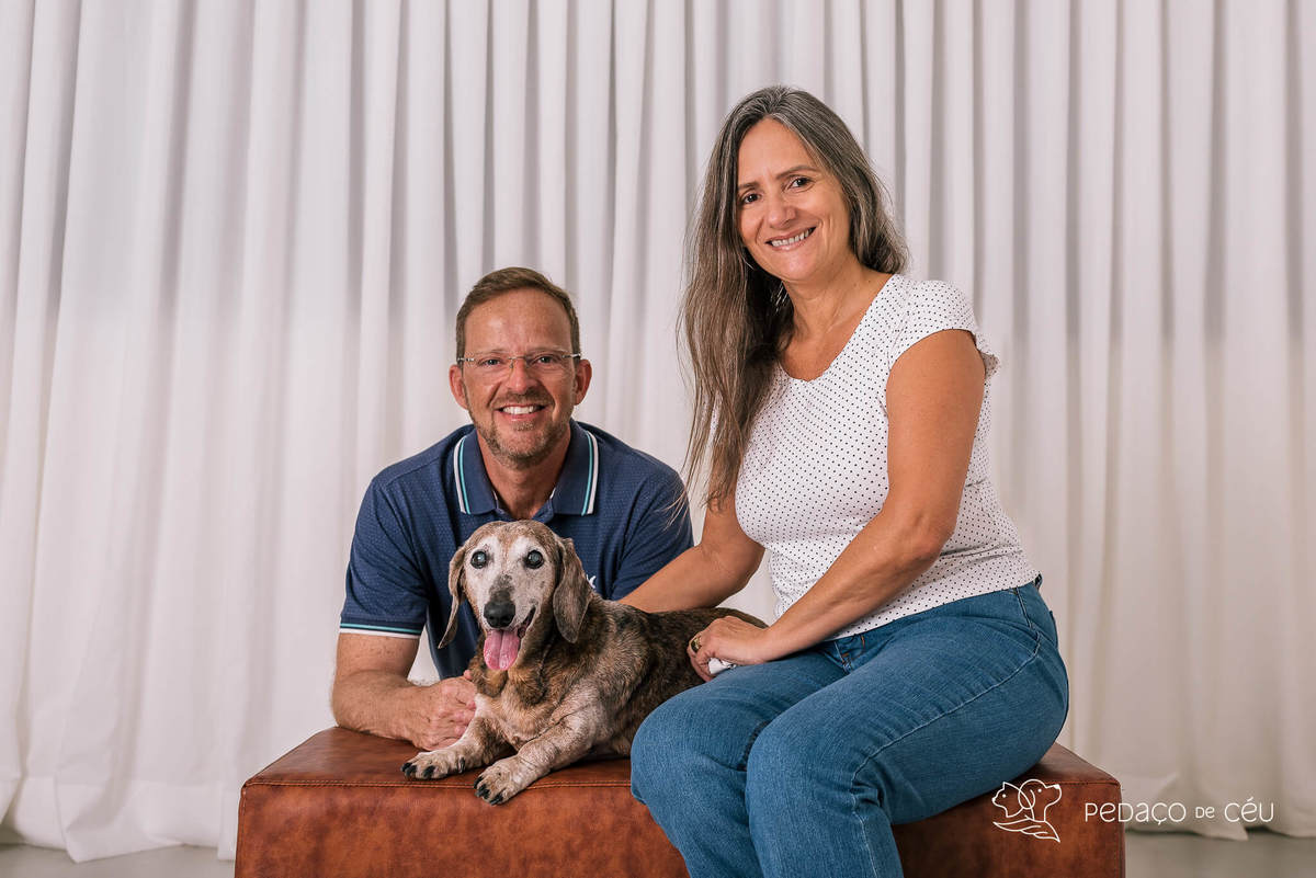 Ensaio Dachshund Rio de Janeiro 