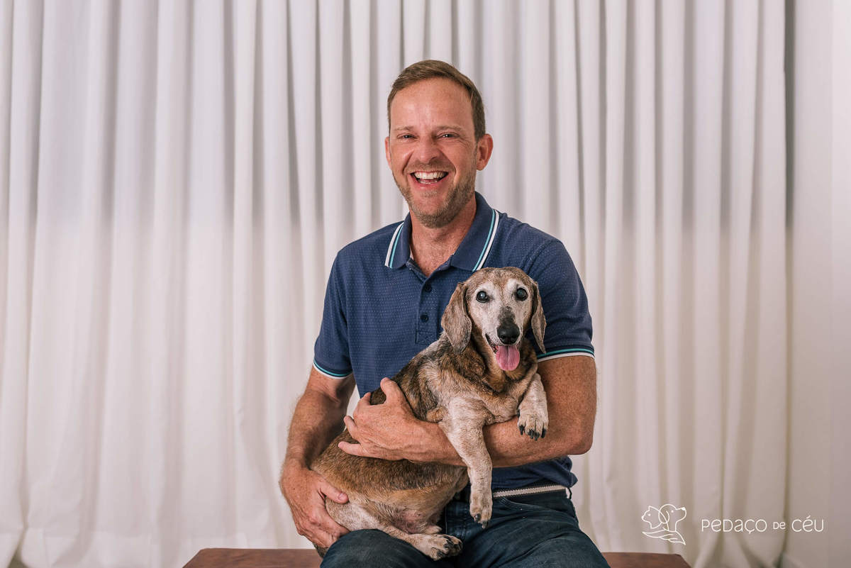 Ensaio Dachshund Rio de Janeiro 