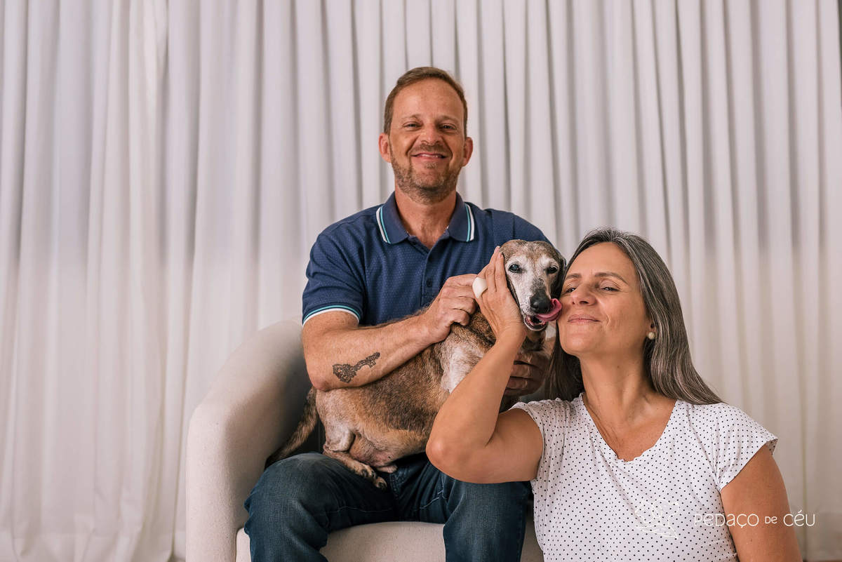 Ensaio Dachshund Rio de Janeiro 