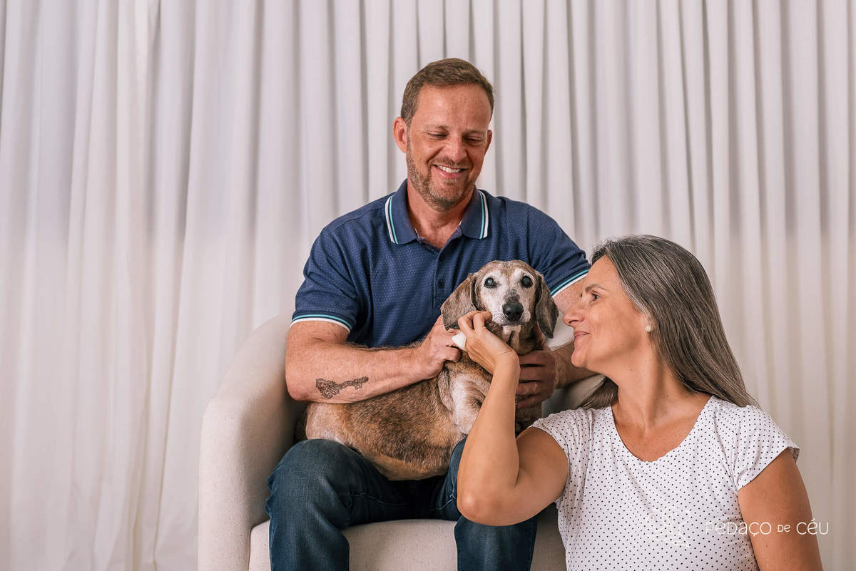 Ensaio Dachshund Rio de Janeiro 