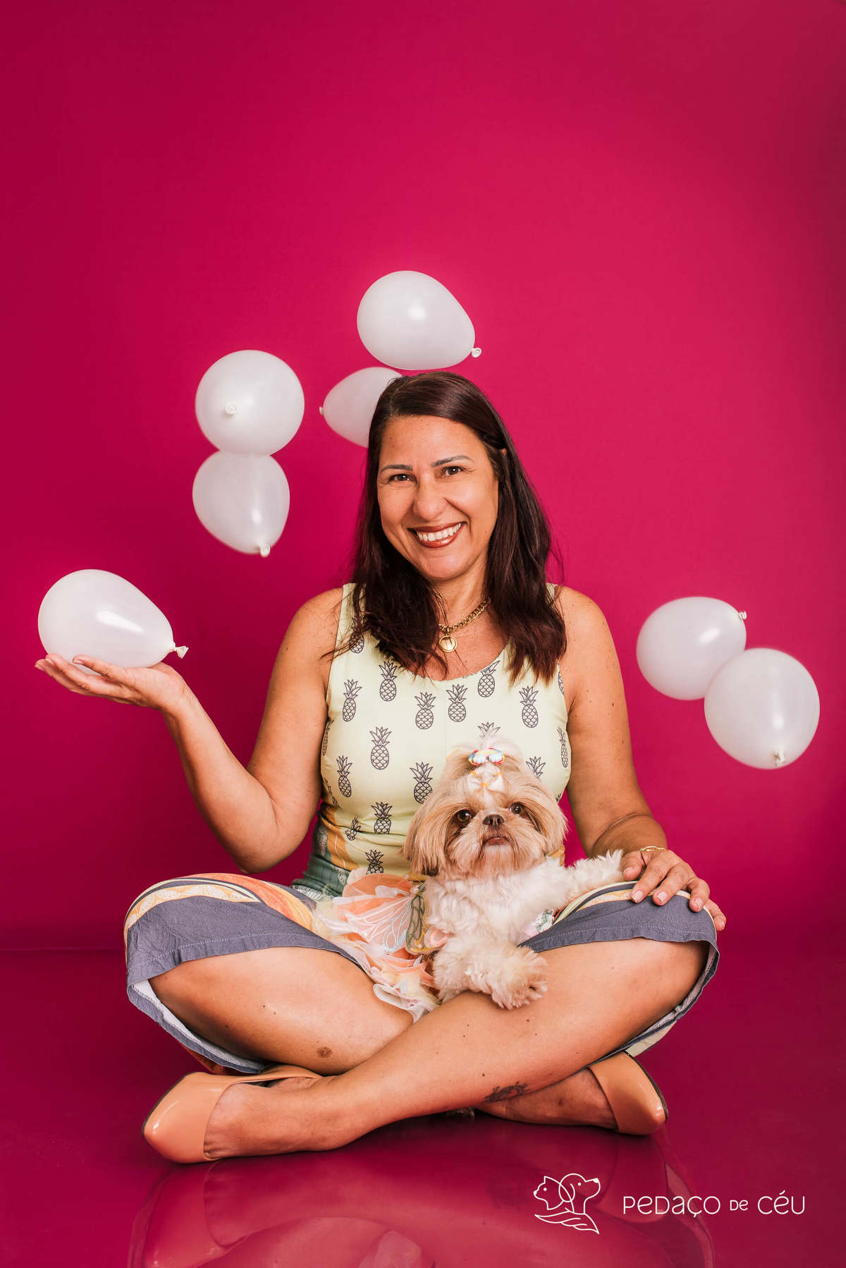 Ensaio Shih Tzu Rio de Janeiro 