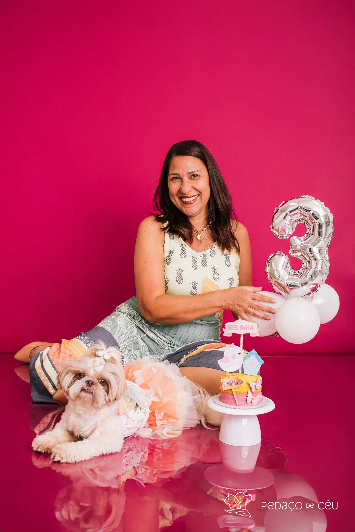 Ensaio Shih Tzu Rio de Janeiro 