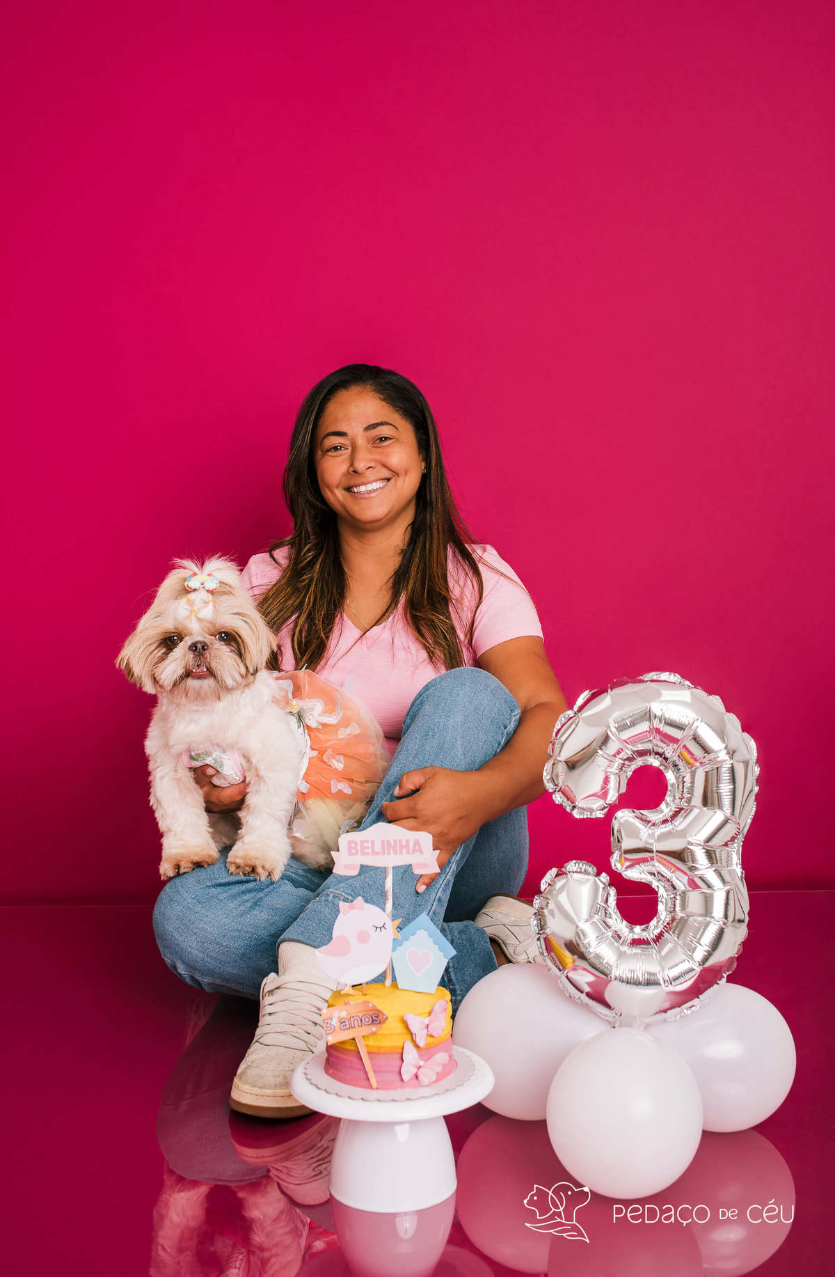 Ensaio Shih Tzu Rio de Janeiro 