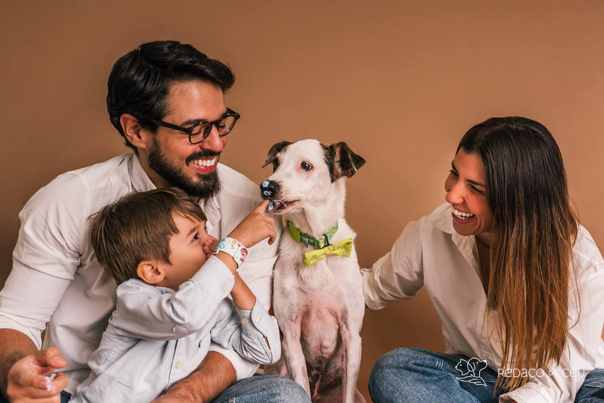 Ensaio pet srd em família com bolo pra cachorro