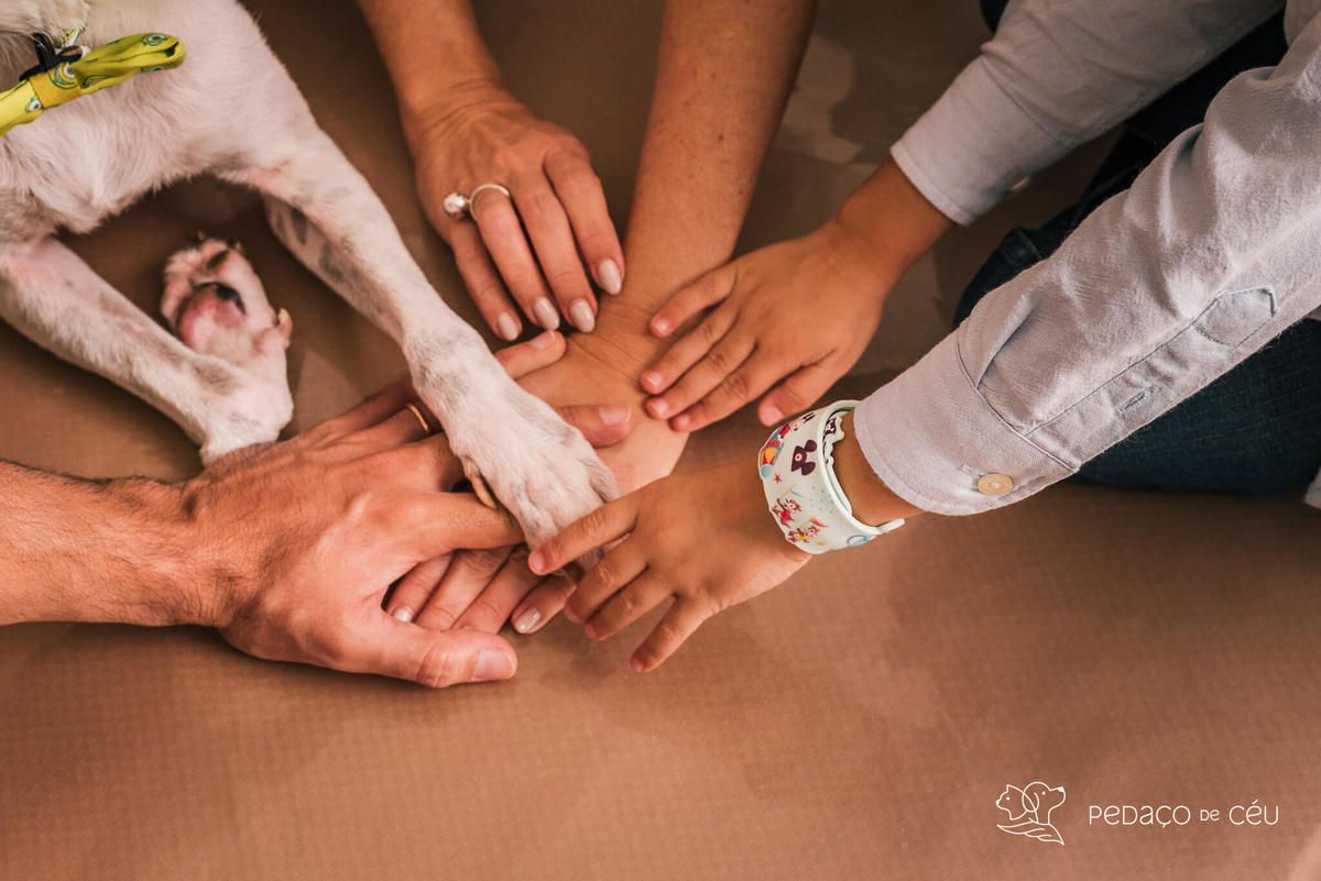Ensaio pet em família