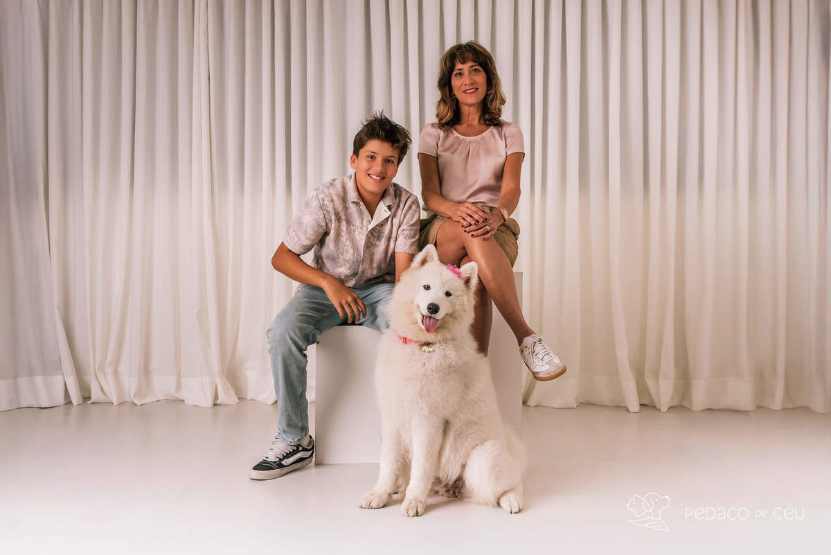 Ensaio pet Samoieda Rio de Janeiro Estúdio Pet friendly