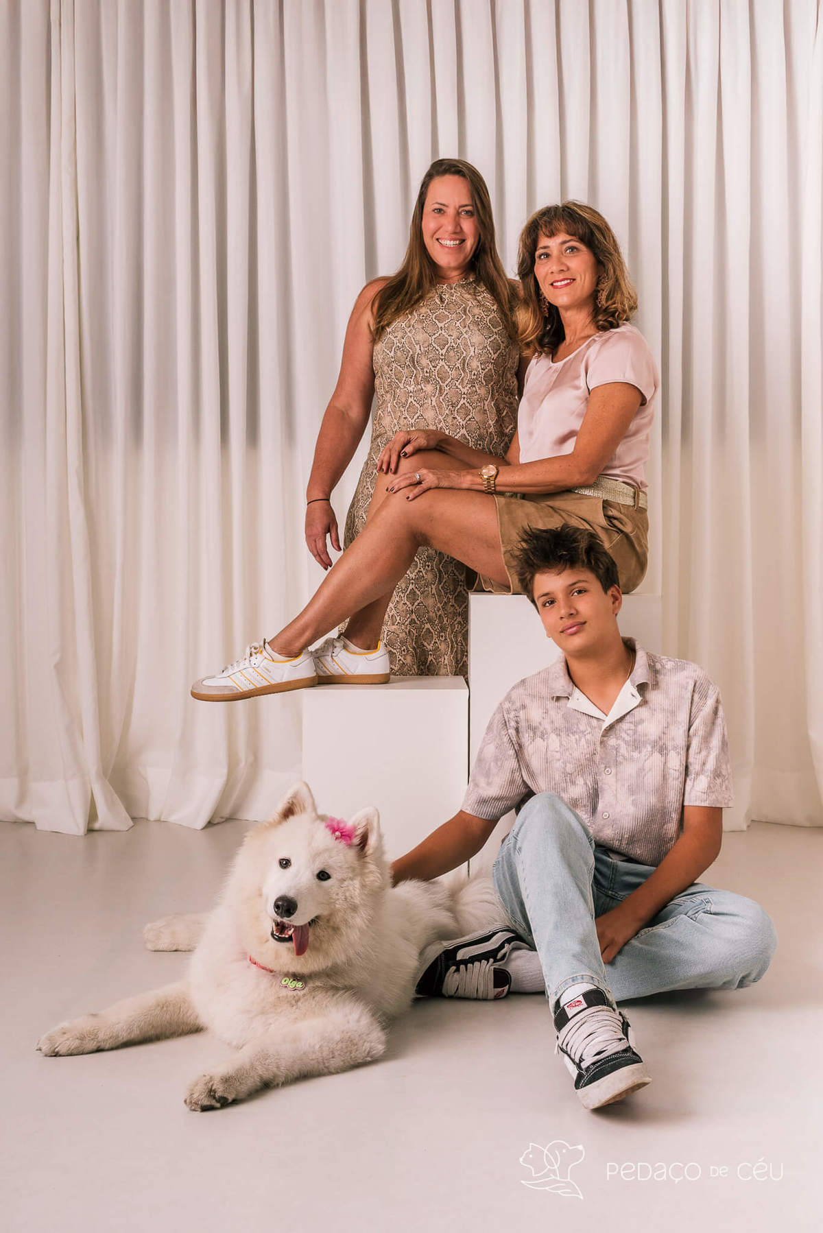 Ensaio pet Samoieda Rio de Janeiro Estúdio Pet friendly