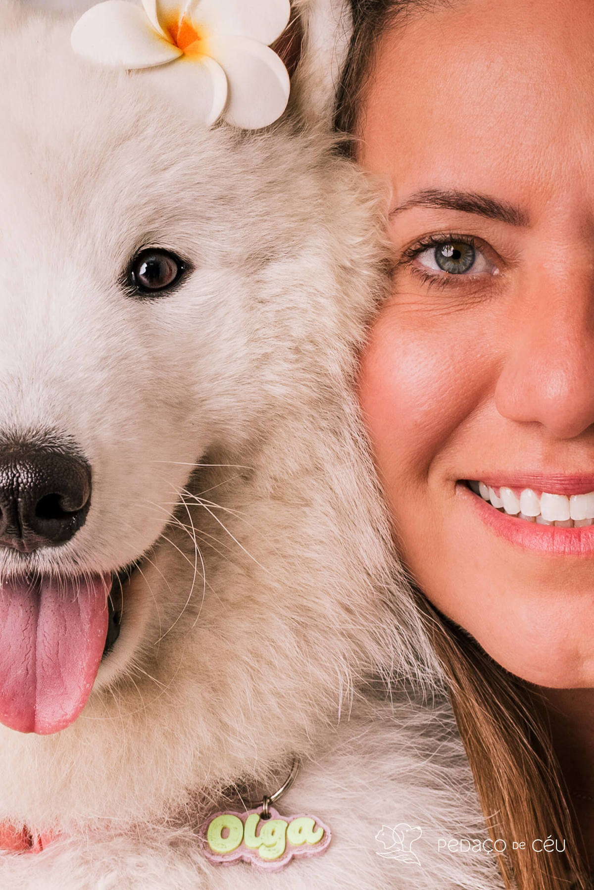 Ensaio pet Samoieda Rio de Janeiro Estúdio Pet friendly