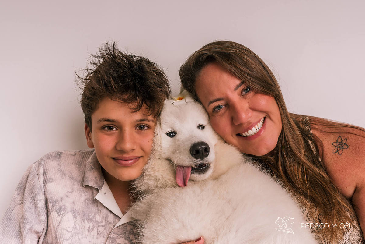 Ensaio pet Samoieda Rio de Janeiro Estúdio Pet friendly
