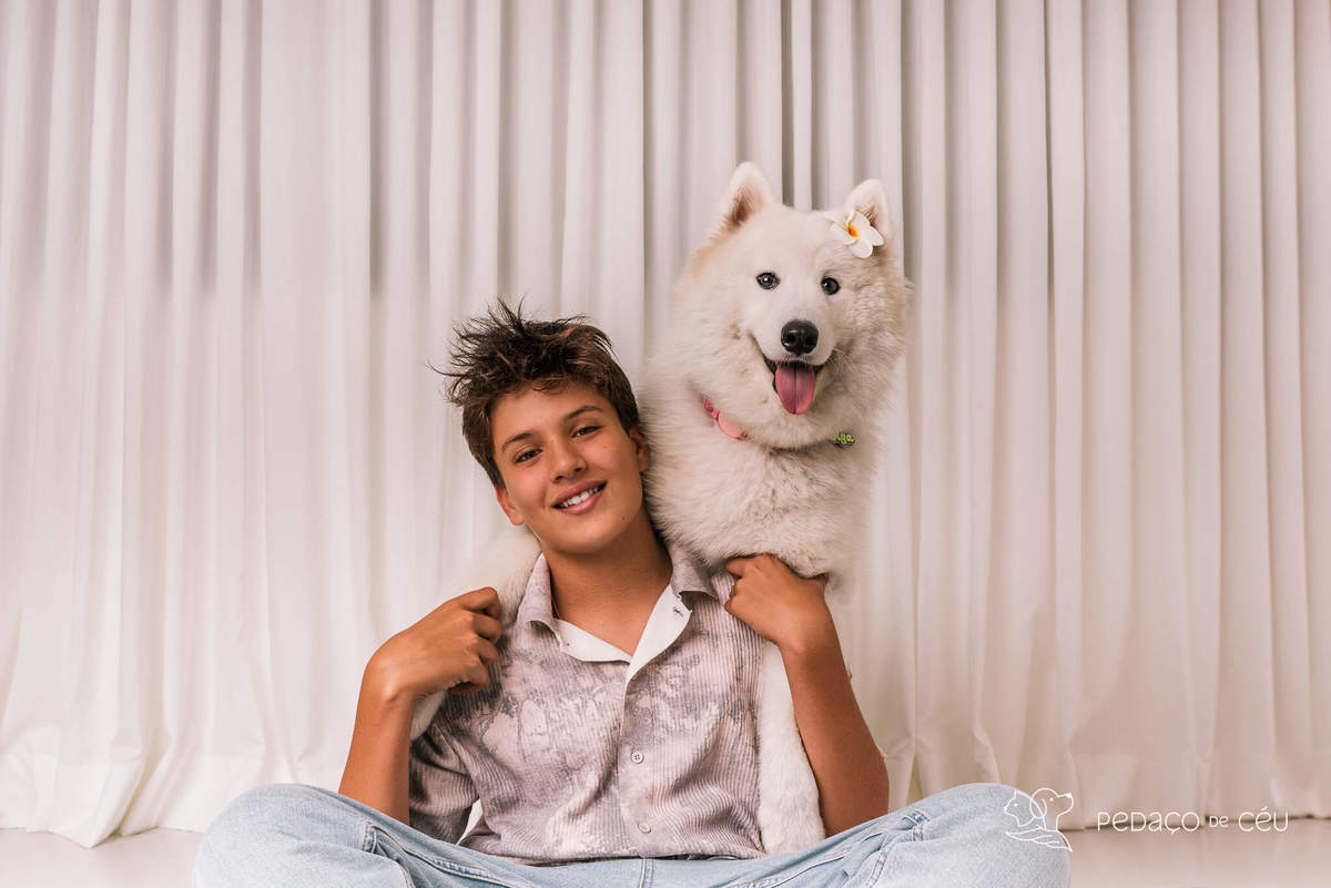 Ensaio pet Samoieda Rio de Janeiro Estúdio Pet friendly