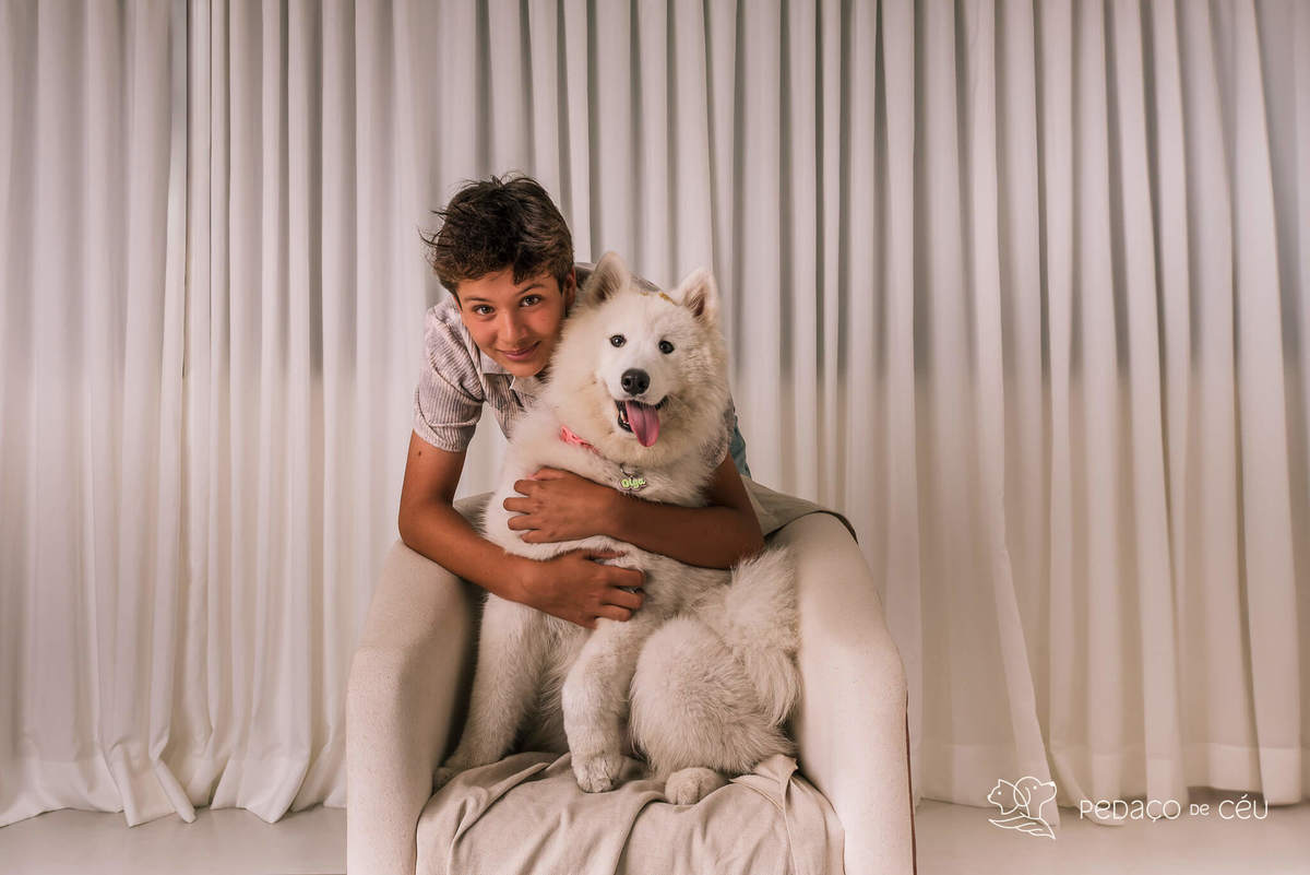 Ensaio pet Samoieda Rio de Janeiro Estúdio Pet friendly