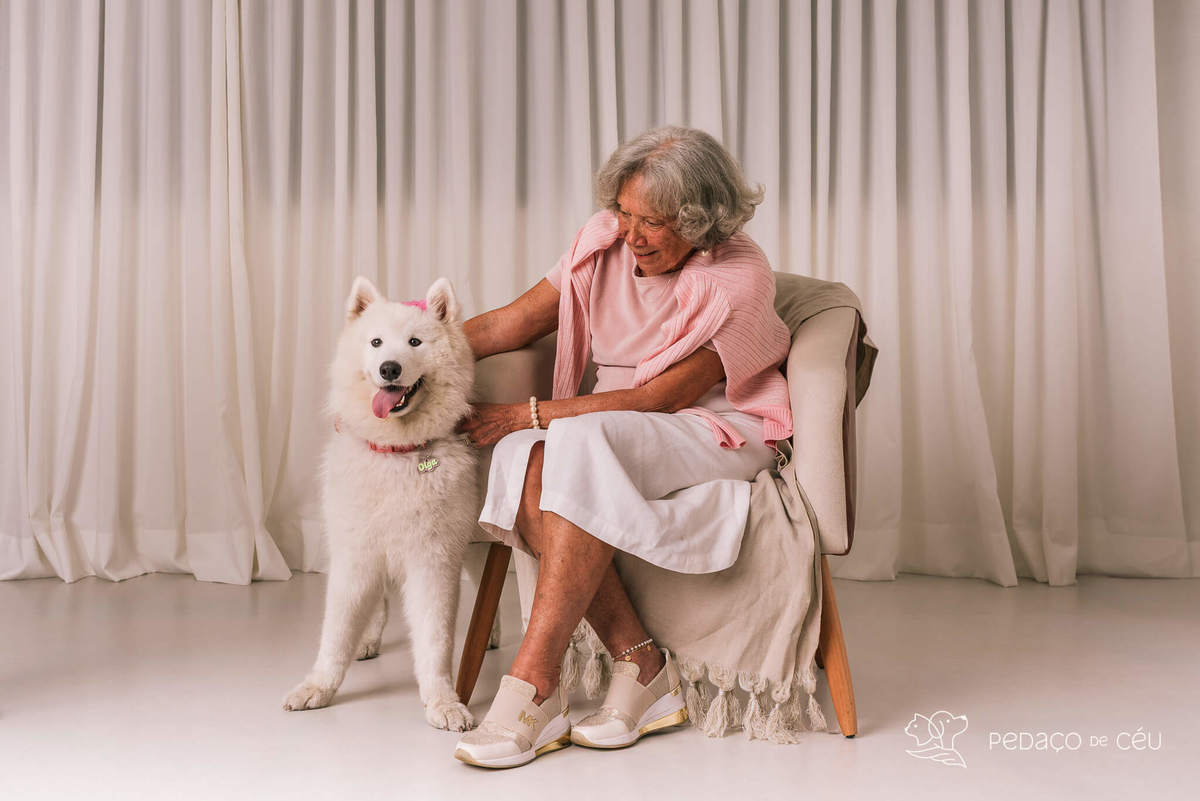 Ensaio pet Samoieda Rio de Janeiro Estúdio Pet friendly