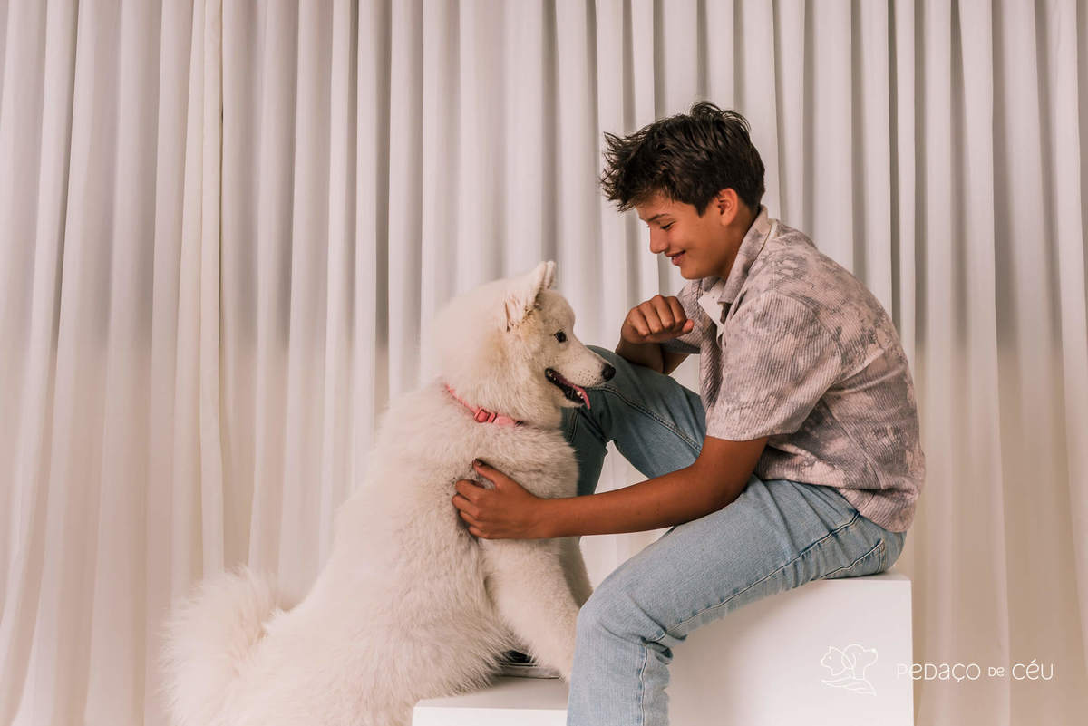 Ensaio pet Samoieda Rio de Janeiro Estúdio Pet friendly