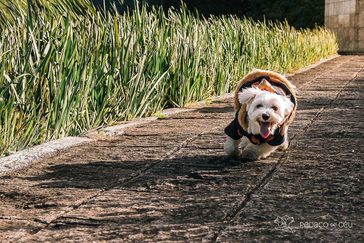 ensaio maltes teresopolis