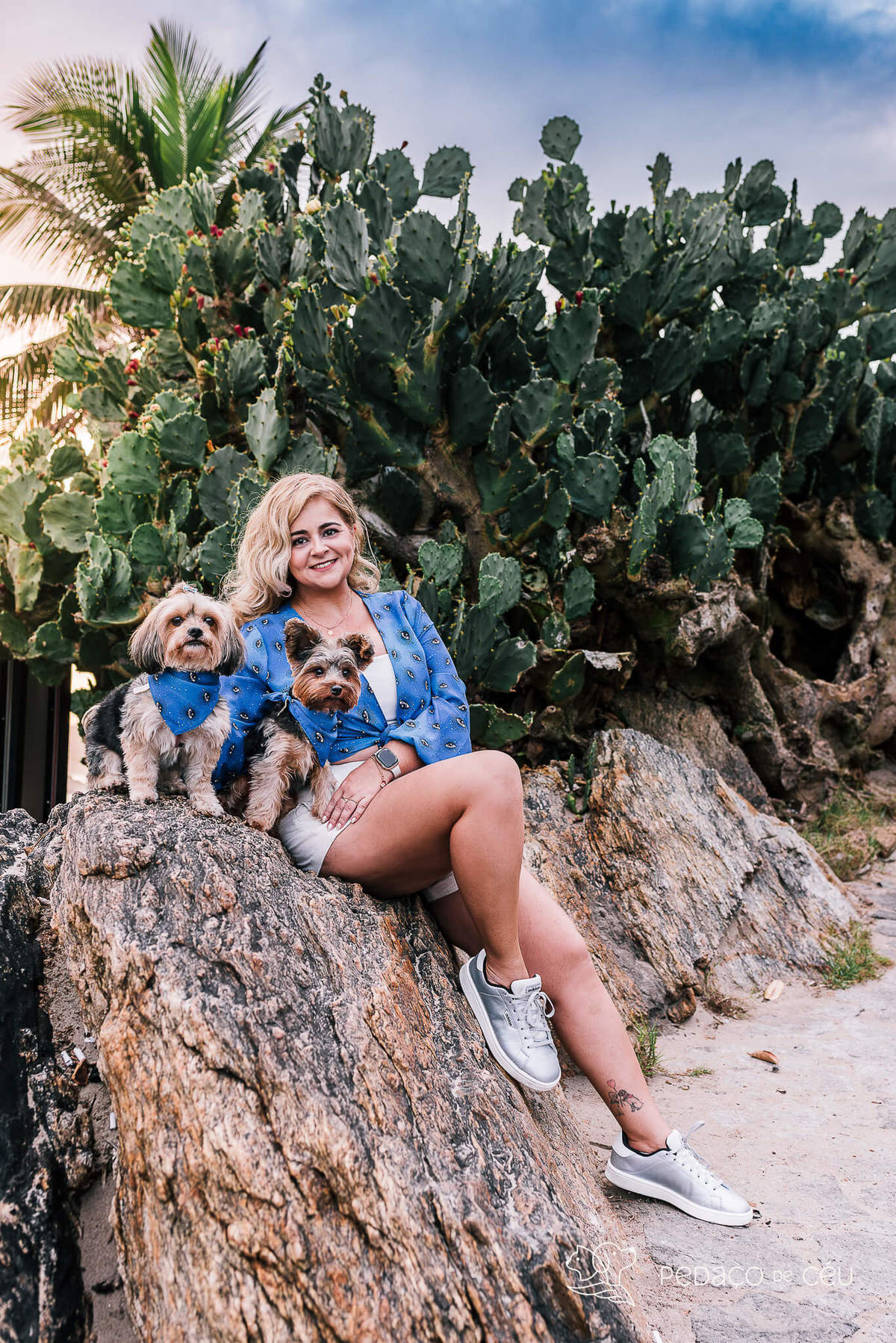 Ensaio yorkshire praia Arpoador