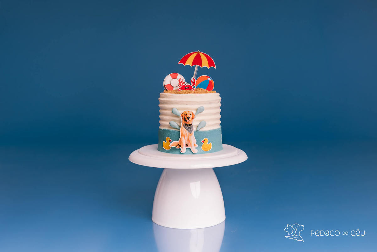 Cake Smash para cães rio de janeiro