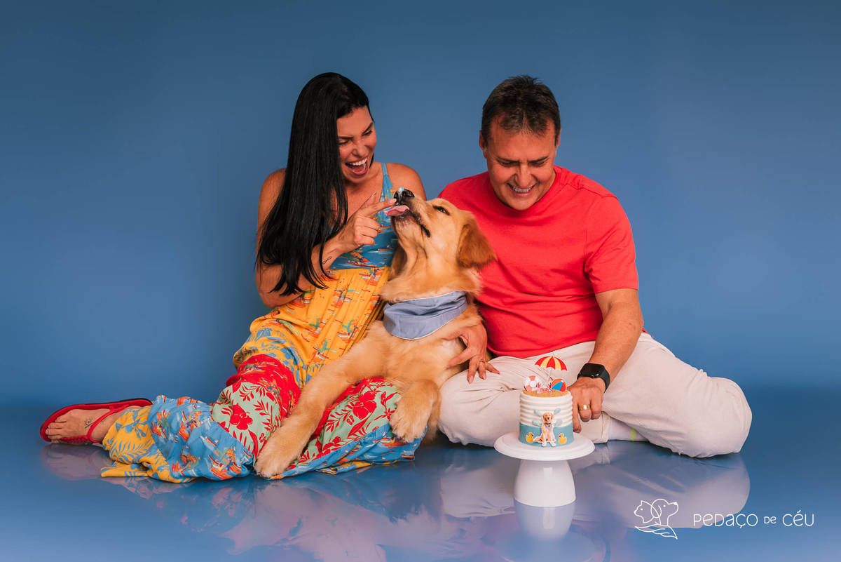Cake Smash golden aniversário cachorro